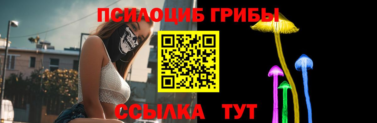 Галлюциногенные грибы GOLDEN TEACHER Касимов
